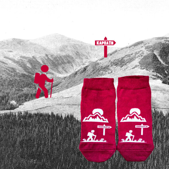 Шкарпетки набір “Тиждень у Карпатах” в подарунковій коробочці (7шт)