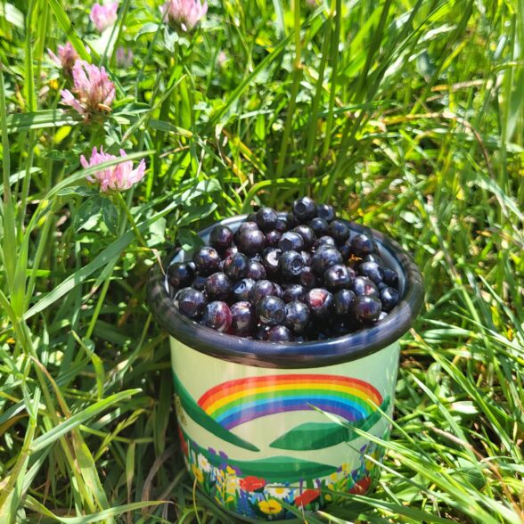 Горнятко металеве “Райдуга” м’ятне