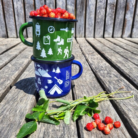 Горнятко металеве “Тиждень у Карпатах” синє