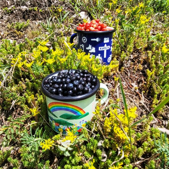 Горнятко металеве “Райдуга” м’ятне