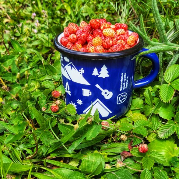 Горнятко металеве “Тиждень у Карпатах” синє