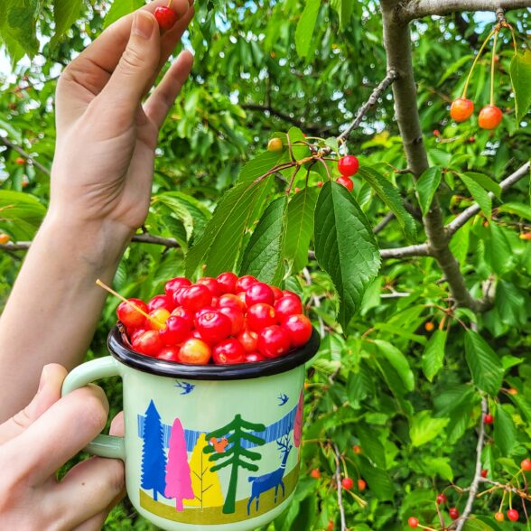 Горнятко металеве “Ліс” м’ятне