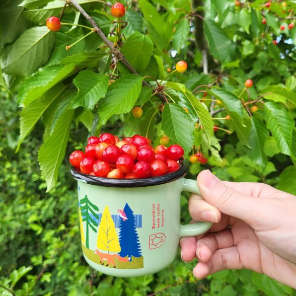 Горнятко металеве “Ліс” м’ятне