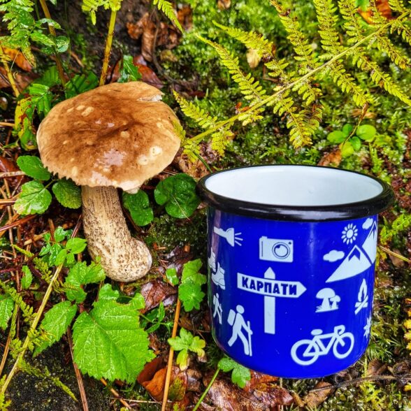 Горнятко металеве “Тиждень у Карпатах” синє