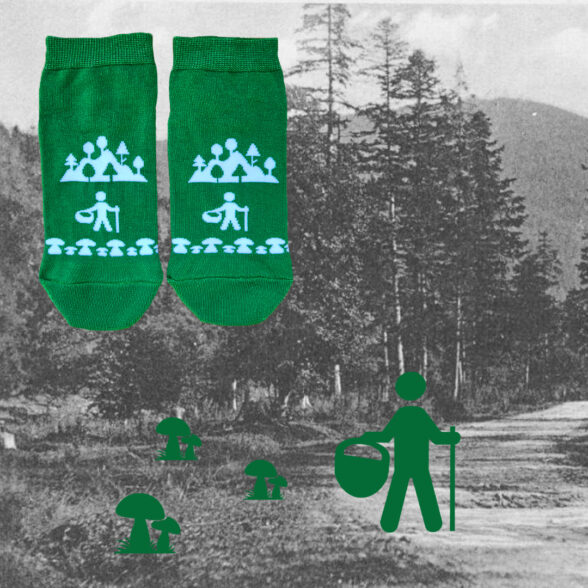 Шкарпетки набір “Тиждень у Карпатах” в подарунковій коробочці (7шт)