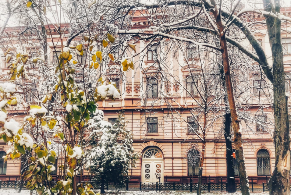 РЕСТАВРАЦІЯ СПІЛЬНОТ ЧЕРЕЗ РЕСТАВРАЦІЮ ДВЕРЕЙ. «Воєнні» історії про двері, які зберегли для міста — а вони бережуть людей