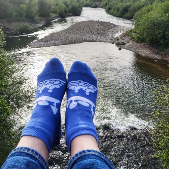 Шкарпетки короткі “Сплав”