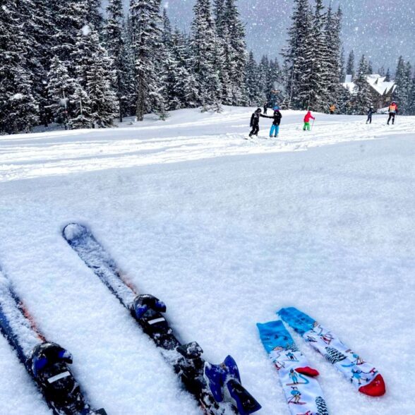 Шкарпетки “Лижники”