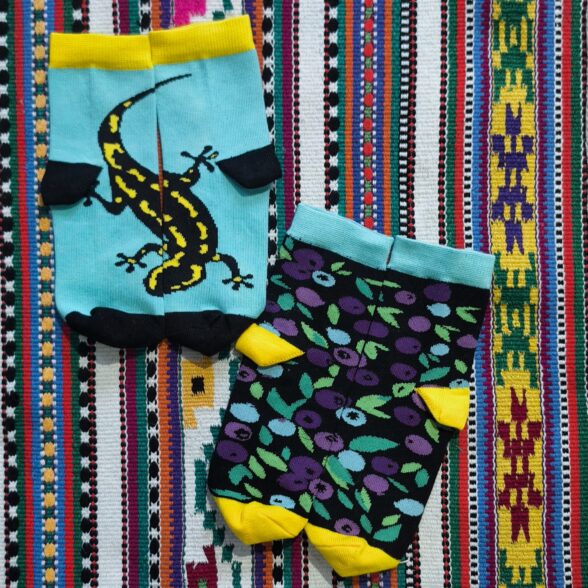 Шкарпетки дитячі “Саламандра в афинах”