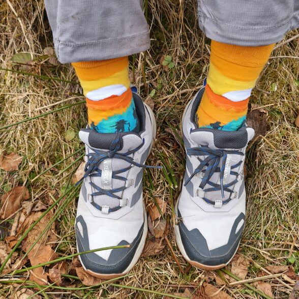 Шкарпетки «Горгани»