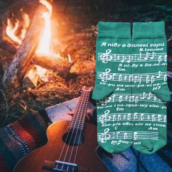 Шкарпетки набір «Пісня буде поміж нас» в подарунковій коробочці (3шт)