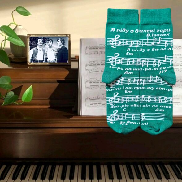 Шкарпетки набір «Пісня буде поміж нас» в подарунковій коробочці (3шт)