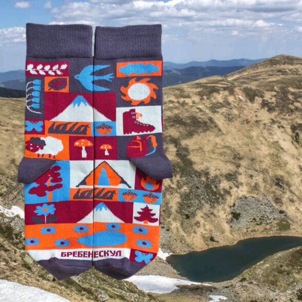 Шкарпетки “Бребенескул”
