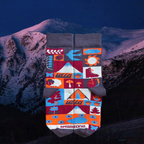 Шкарпетки “Бребенескул”