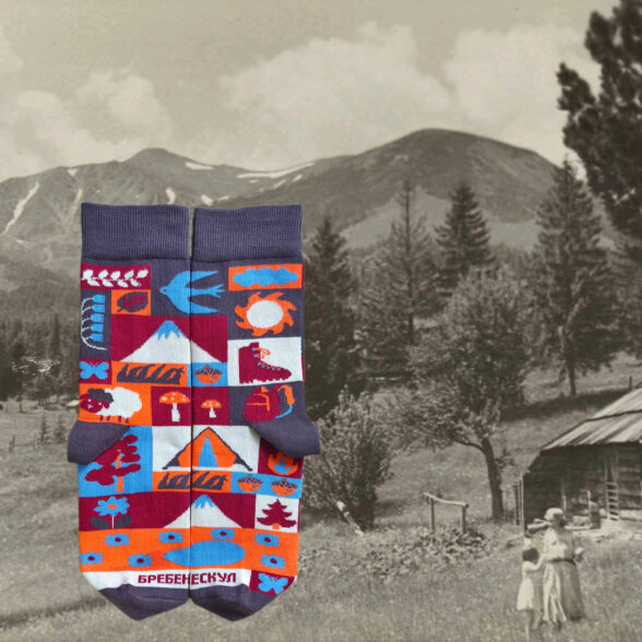 Шкарпетки “Бребенескул”