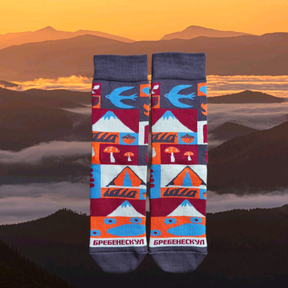 Шкарпетки “Бребенескул”