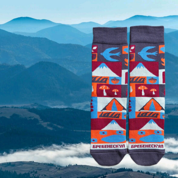Шкарпетки “Бребенескул”
