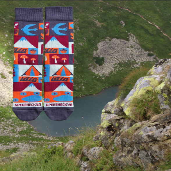 Шкарпетки “Бребенескул”