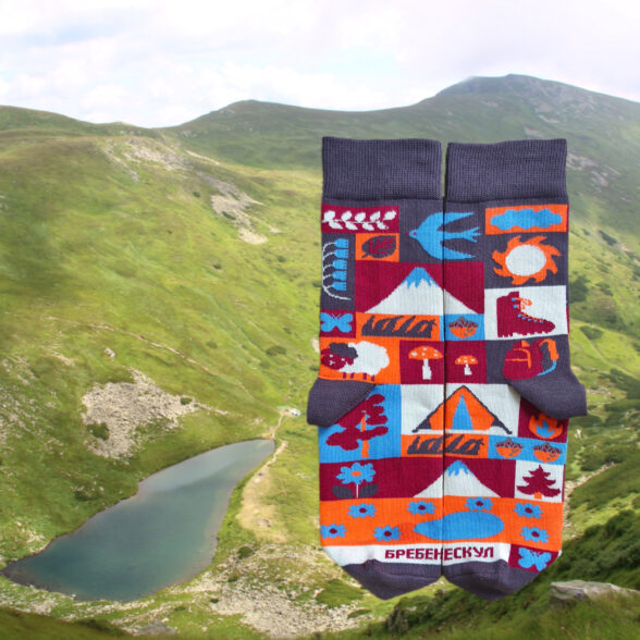 Шкарпетки “Бребенескул”