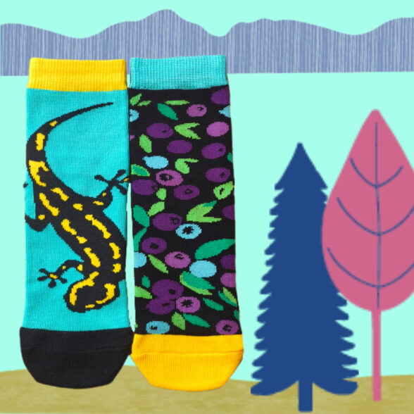 Набір дитячих шкарпеток «Мамо, я в Карпатах!» (7 шт) в подарунковій коробочці