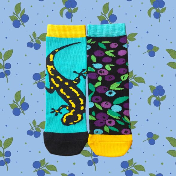 Шкарпетки дитячі “Саламандра в афинах”