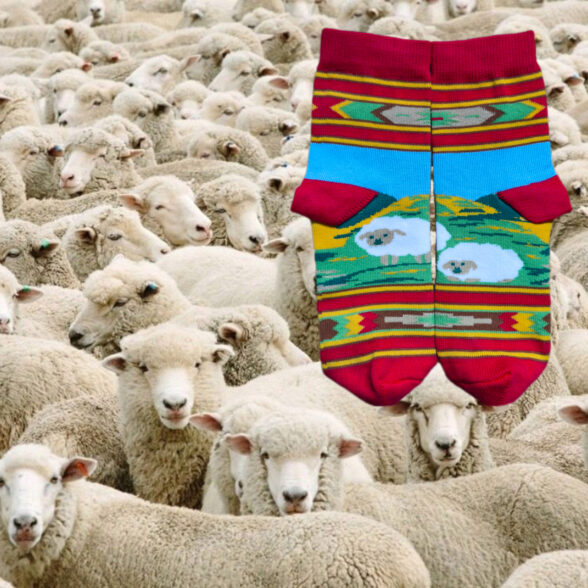 Шкарпетки дитячі “Веселі овечки”