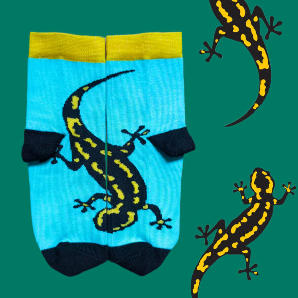 Шкарпетки дитячі “Саламандра в афинах”