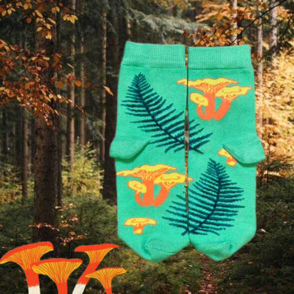 Шкарпетки дитячі “Лисички і лисички”