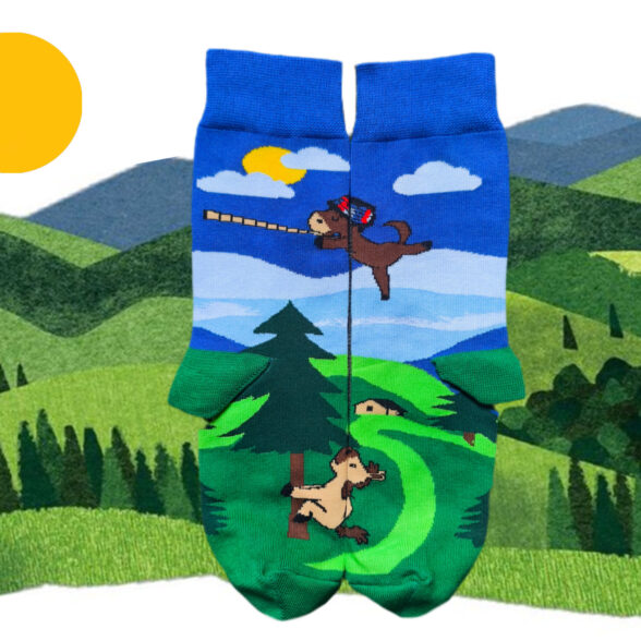 Шкарпетки “Показувати коники”