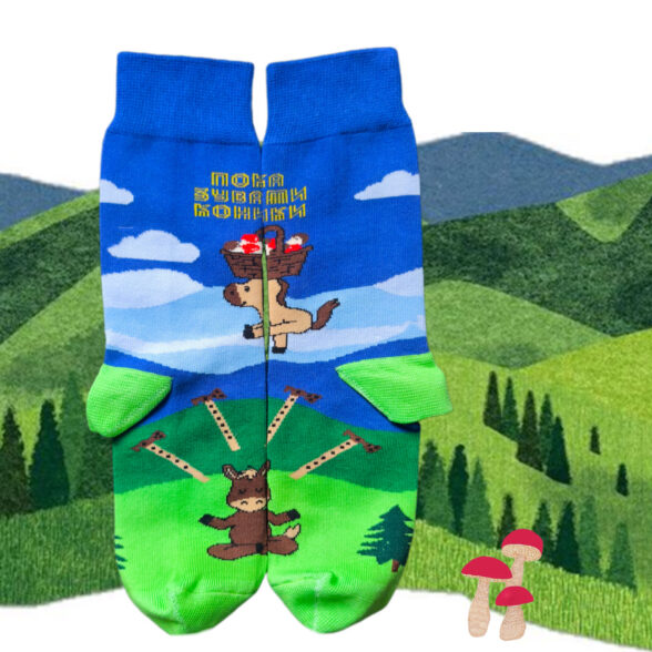 Шкарпетки “Показувати коники”