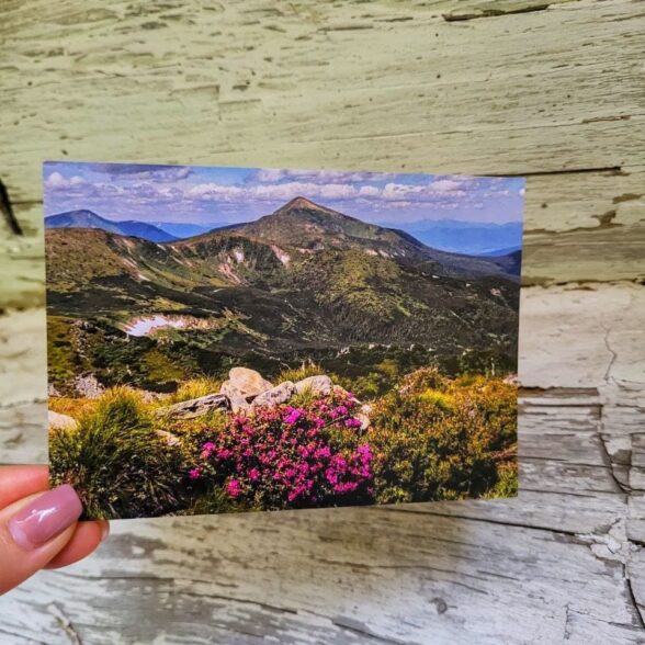 Листівка “Червону руту не шукай вечорами”