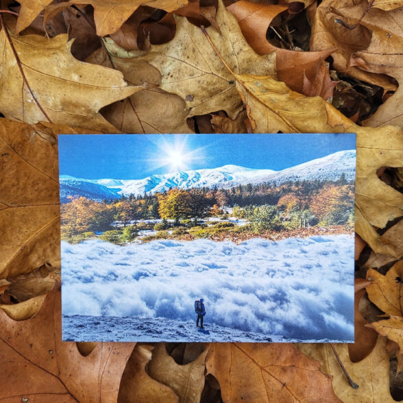 Листівка “Зима-осінь в Карпатах”