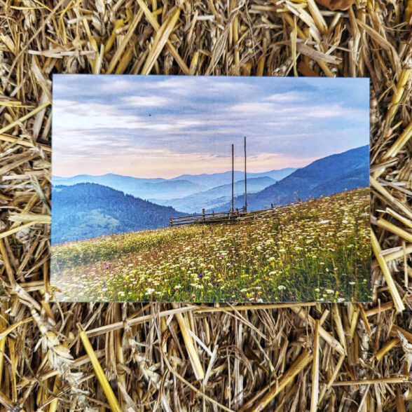 Листівка “Пахощі карпатських трав”