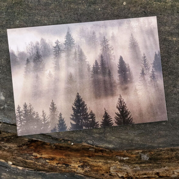 Листівка “Прокидається карпатський ліс “