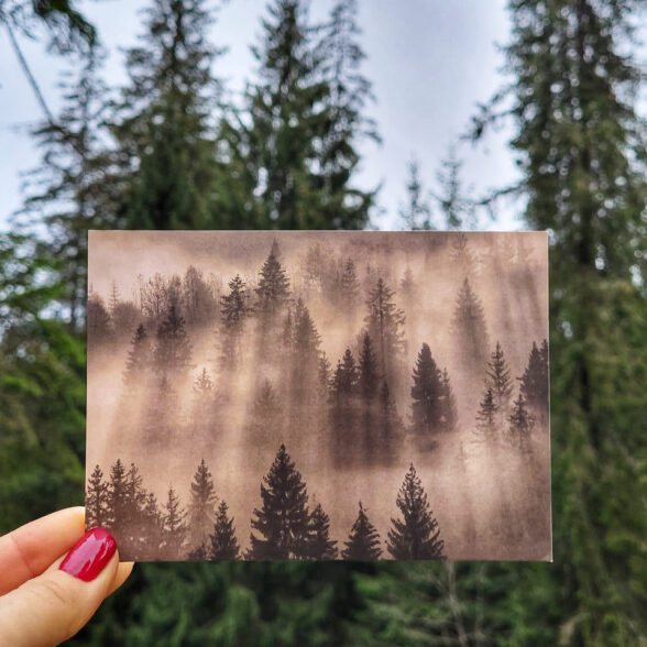 Листівка “Прокидається карпатський ліс “