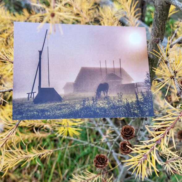 Листівка “Ранішній туман “