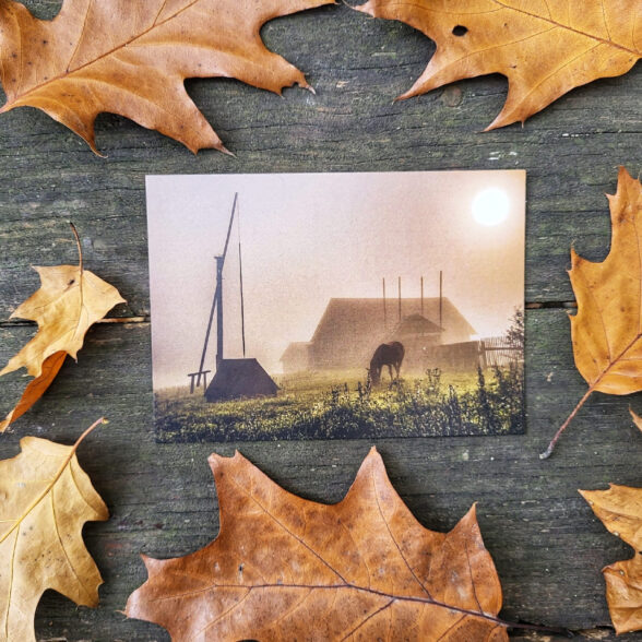 Листівка “Ранішній туман “