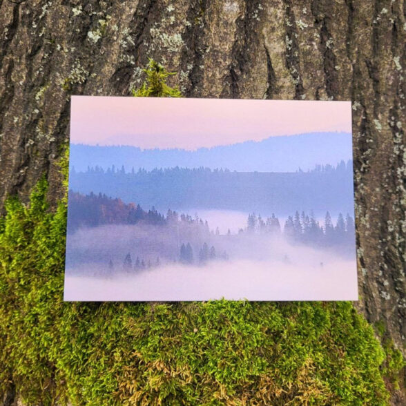 Листівка “Ранок в Карпатах”