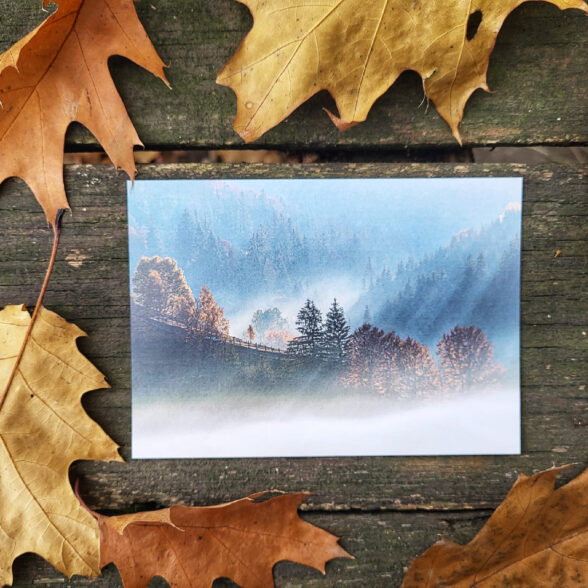 Листівка “Ранок в селі Зелен”