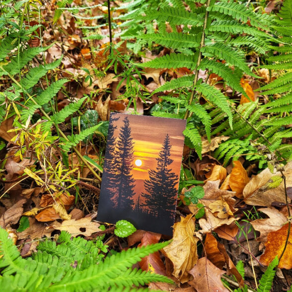 Листівка “Схід сонця”