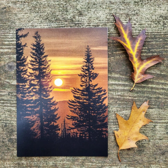 Листівка “Схід сонця”