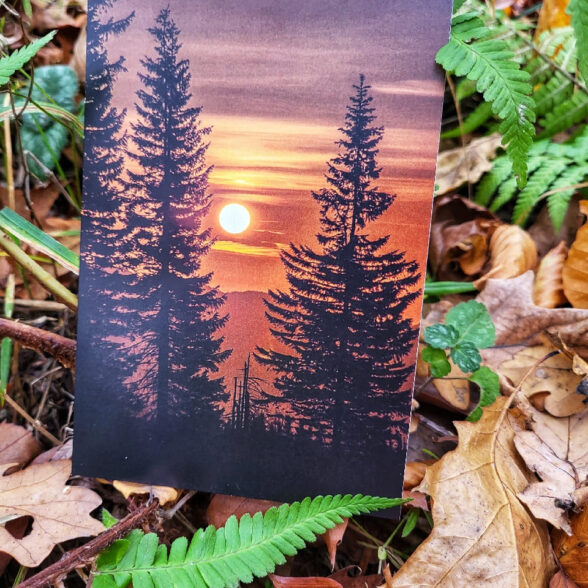 Листівка “Схід сонця”