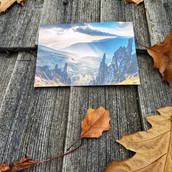 Листівка “Шпиці”