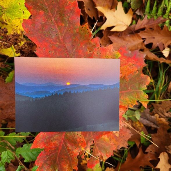 Листівка “Темна нічка гори вкрила”