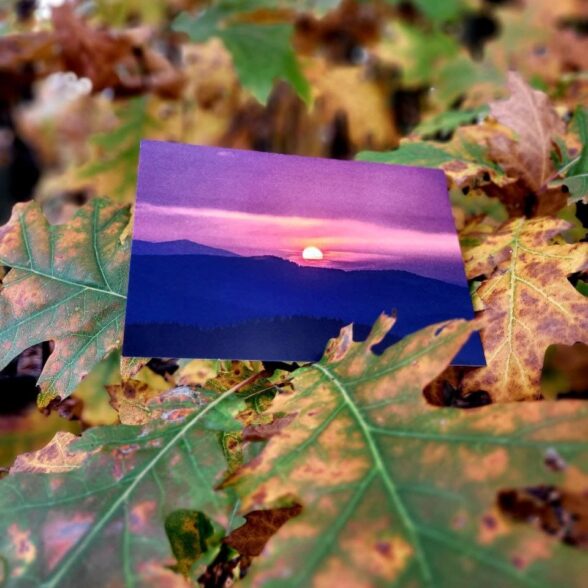 Листівка “Вечоріє”