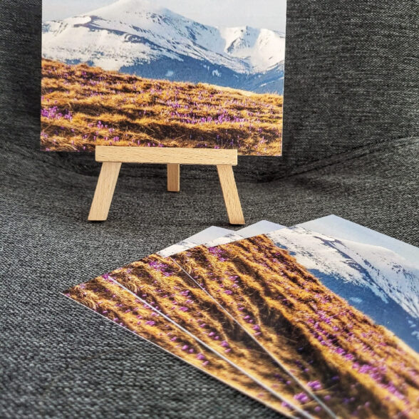 Листівка “Весна. Крокуси”