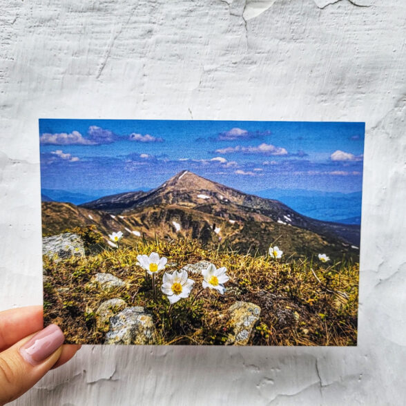 Листівка “Весна на Говерлі”