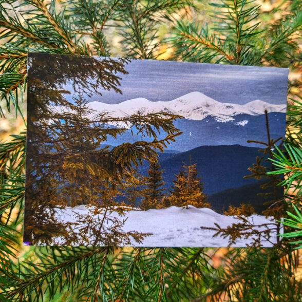 Листівка “Зима в Карпатах”