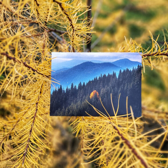 Листівка “Осінь на Угорських скелях”