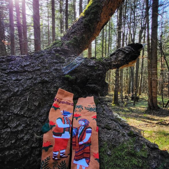 Шкарпетки “Червона рута”
